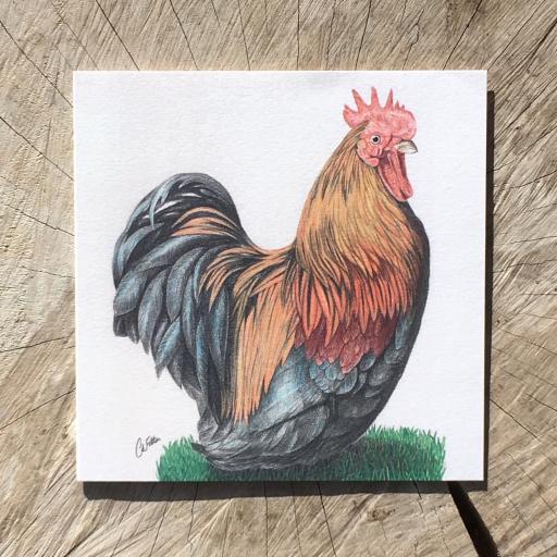 Cock-a-doodle-do Greetings Card