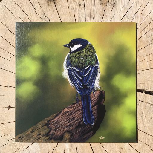 Great Tit Greeting Card