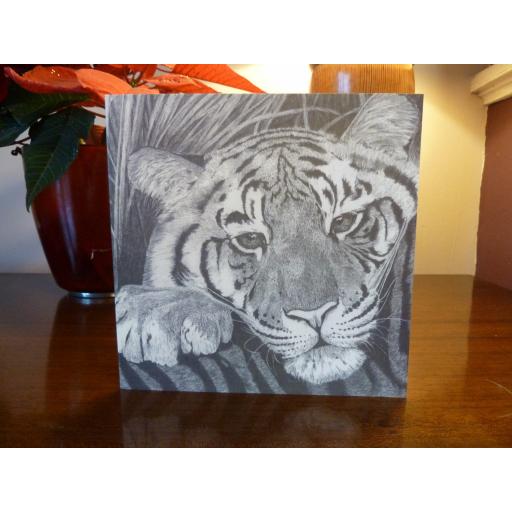 Stripe- Tiger Cub Greetings Card