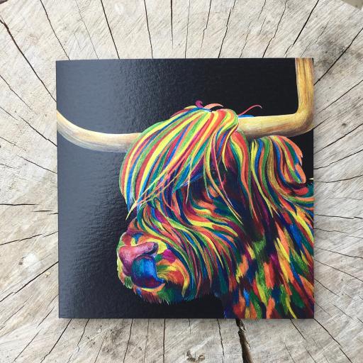 Rude MacDude- Highland Cattle in colour on black Greetings Card