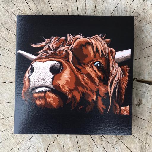 Deco cow - Highland cow greeting card
