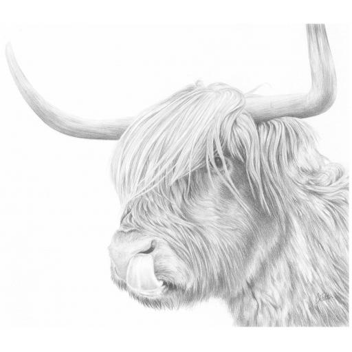 Highland Cow 'Rude MacDude' Limited Edition Giclee Print