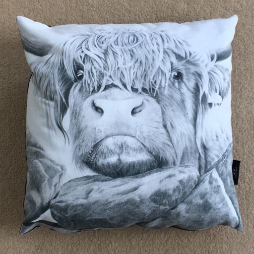 Nosey cow cushion