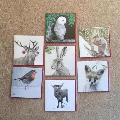The Christmas card pack