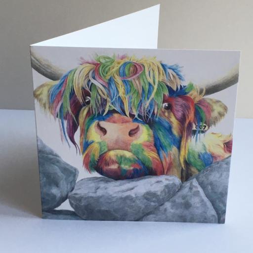 Colour splash Nosey cow - Highland cow greeting card
