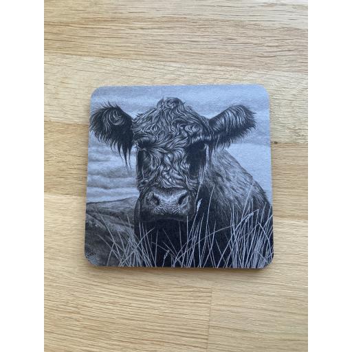 Betty, the Belted Galloway coaster